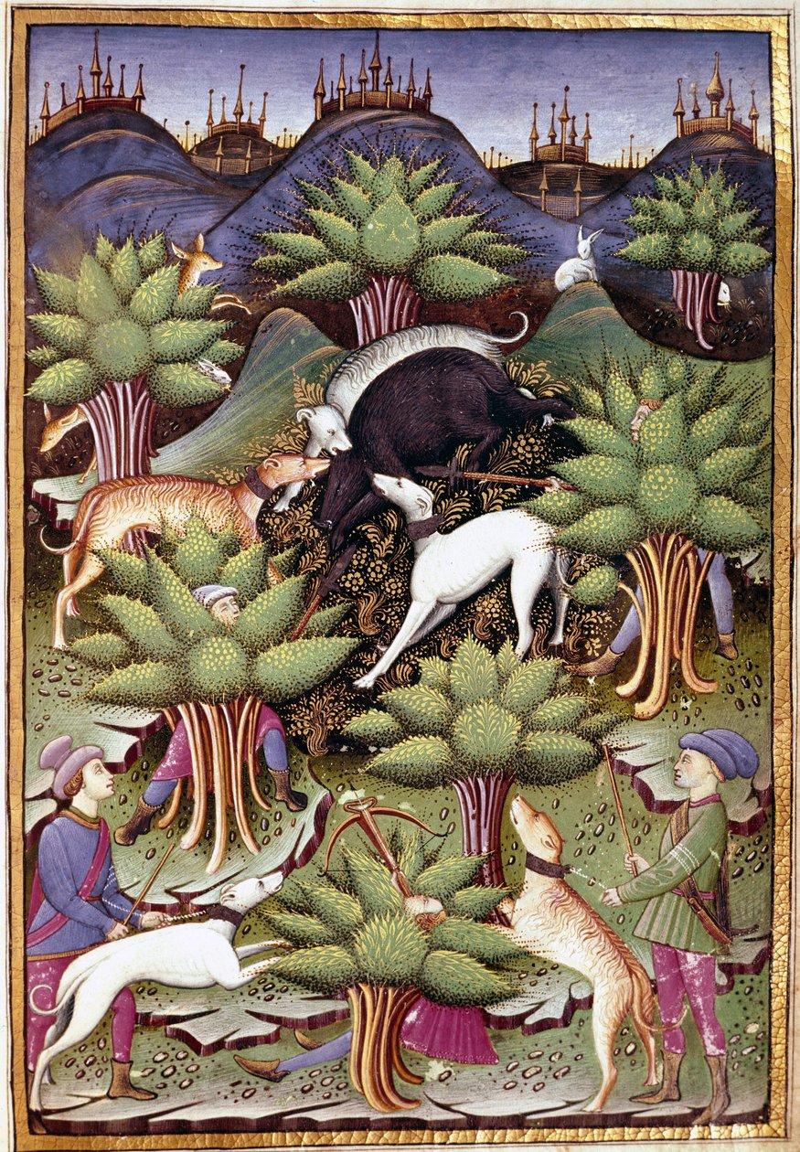 Scene of wild boar hunting Miniature from “” Treat falconry and venerie with the motto and emblem of the Duke of Sforza” 1459 (ms. 1375) Chantilly, Musee Conde