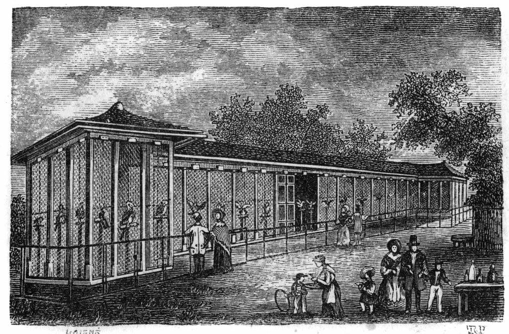 Jardin des Plantes in Paris in 1861: falconry. 