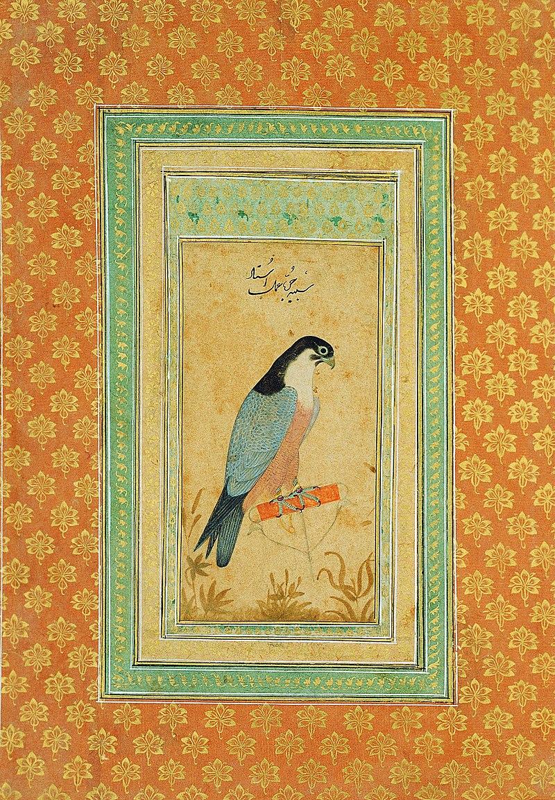 Shaheen falcon, miniature by Mansur. Mughal India, early 17th-century.